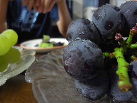 Auto-thumbnail for RICOH GX200を買った！