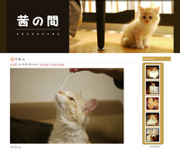 Auto-thumbnail for instagramのハッシュタグのついた写真を表示させるブログパーツ