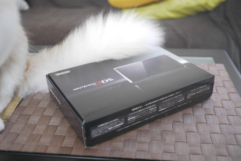 Auto-thumbnail for ニンテンドー3DS ファーストインプレッション